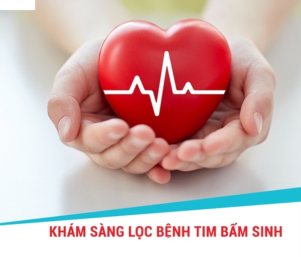 Tổ chức chương trình khám sàng lọc bệnh tim cho trẻ em năm 2023